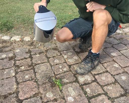 Killing weed with boiling water kettle